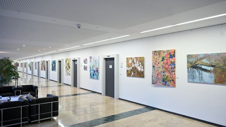 Ausstellung im Hanauer Rathaus bis 20. Februar 2026 verlängert