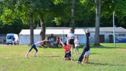 Ferienspiele in Hanau 2026: Anmeldung beginnt am 9. März für Sommerprogramm mit Dschungelthema