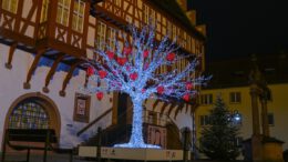 Hanau leuchtet bis 6. Januar: Rundgang vom Marktplatz zum Schlossplatz