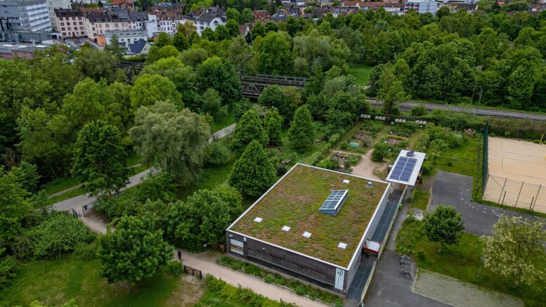 Hanau: Workshop erklärt, wie Reinigungsmittel zuhause hergestellt werden