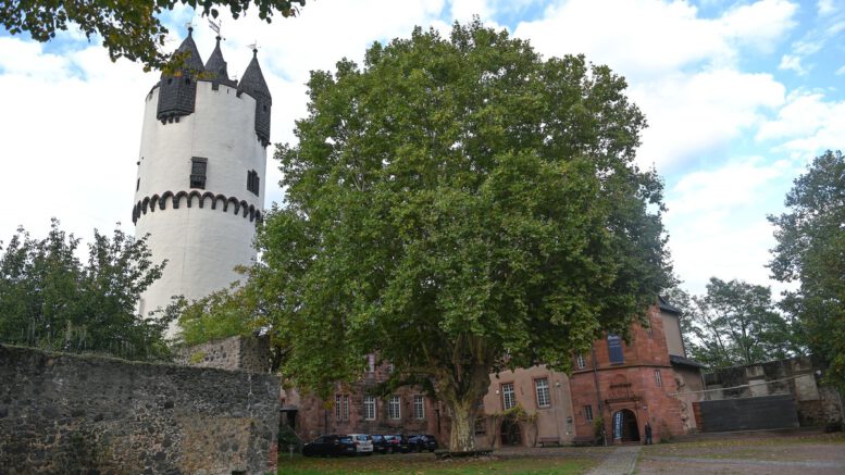 Historische Abendführung: Nachtwächter erzählt von Steinheim im 17. Jahrhundert