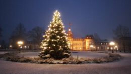 Museen in Hanau veröffentlichen geänderte Öffnungszeiten für die Feiertage